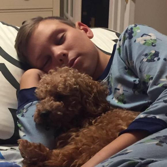 Meet your Posher, Gumita - Picture 1 of 1